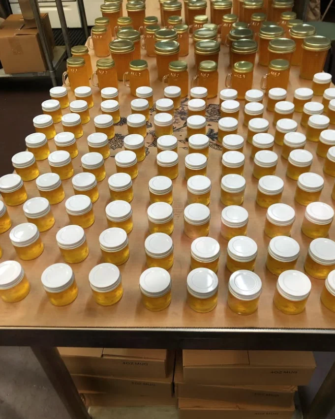 Rows of golden jelly jars just finished and lidded